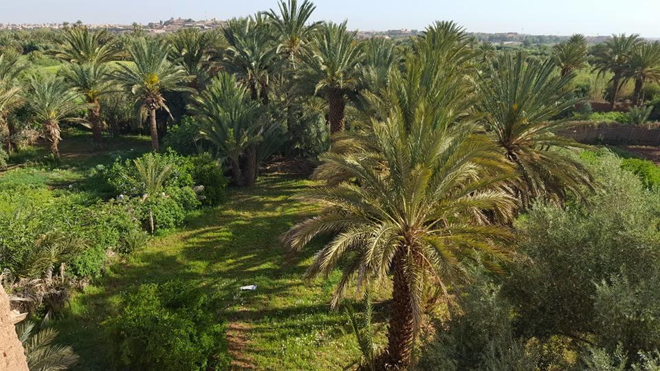 Cinema Riad Tajda Экстерьер фото